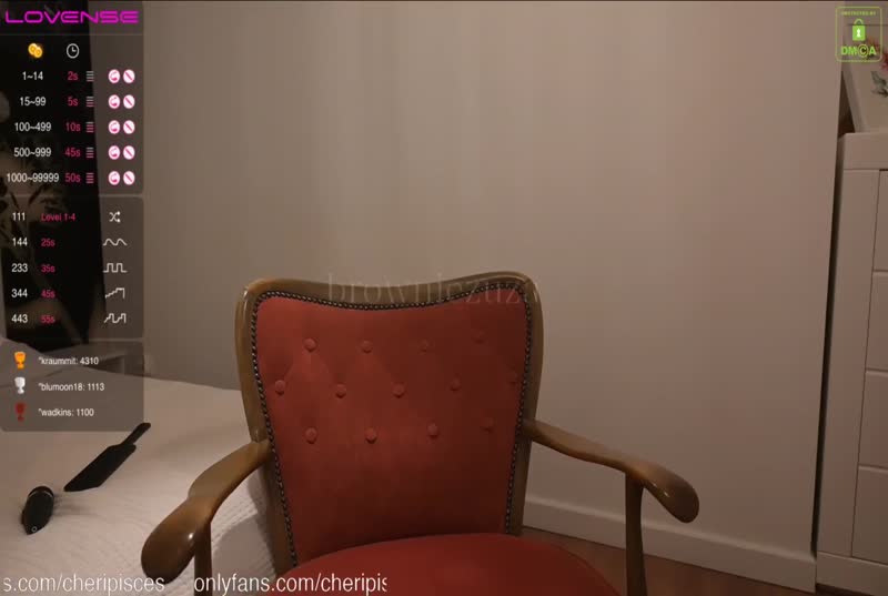 模特范极品主播browniezuza 直播合集+付费内容32