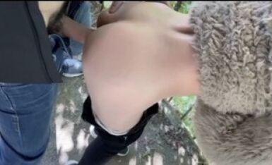 【性爱日记 城市探险】回归大自然的性爱 森林深入跪舔 翘美臀无套后入